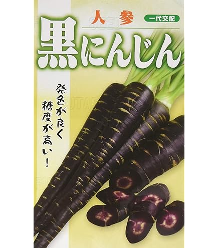 にんじん　コート36黒 セール】【今すぐお届け可能!】MLサイズ展開あり/ロングステンカラー