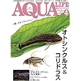 月刊アクアライフ 2022年 04 月号 オトシンクルス&コリドラス