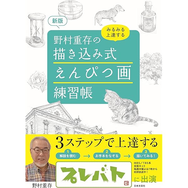 Amazon.co.jp: 野村重存 水彩で描く 手のひらサイズの風景画