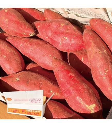 Amazon.co.jp: 【完熟成へのこだわり】最高級サツマイモ【究極の紅