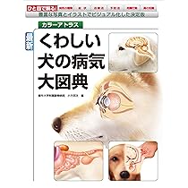 81HYS-23KsL._AC_UL210_SR210,