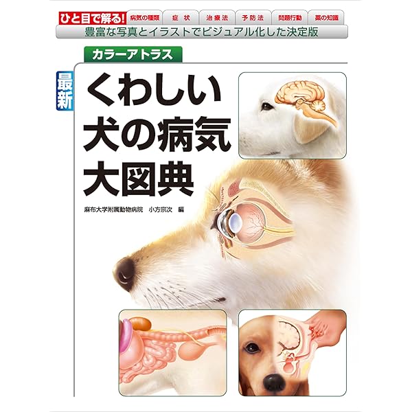 写真とイラストでみる犬の臨床解剖 写真とイラストでみる犬の臨床解剖 写真とイラストでみる犬の臨床解剖