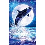 ラッセン FVGA(480×800)壁紙 マジェスティック サーガ ラッセン FVGA(480×800)壁紙 マジェスティック サーガ