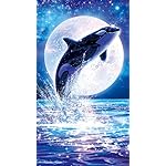 ラッセン XFVGA(480×854)壁紙 マジェスティック サーガ ラッセン XFVGA(480×854)壁紙 マジェスティック サーガ