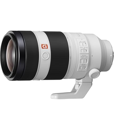 Sony FE 300mm F2.8 GM OSS : Amazon.sg: Electronics