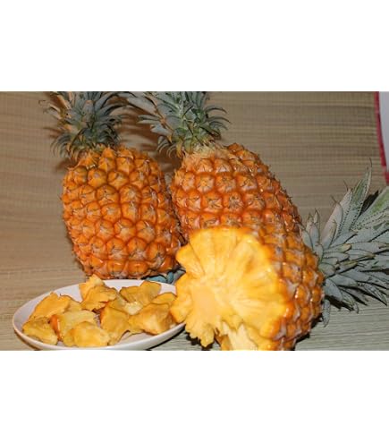 Amazon.co.jp: スナックパイン 2玉入り (1玉約600g前後) 沖縄県産