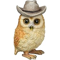 owl様 81Nb+QcgWGL._UF894,1000_QL80_.jpg