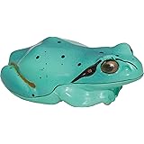 I live(アイリブ) light 蛙