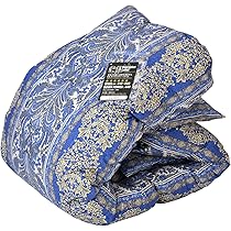 新品【六つ星】ブラックラベル＊フランス産９５％増量１，７キロ＊特殊二層羽毛布団Ｄ 上級品＊新品【六つ星】ブラックラベル＊フランス産95％増量＊