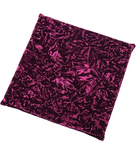 Amazon.co.jp: 金華山 座布団 金華山 シリーズ レッド デコトラ