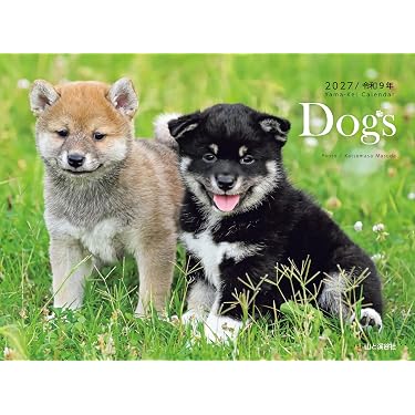 Amazon.co.jp 最新リリース: インテリアデザイン の新着ランキングです。