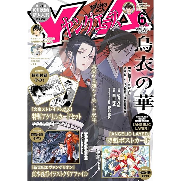Amazon.co.jp: Fate/Grand Order Arcade material【書籍】 : Software