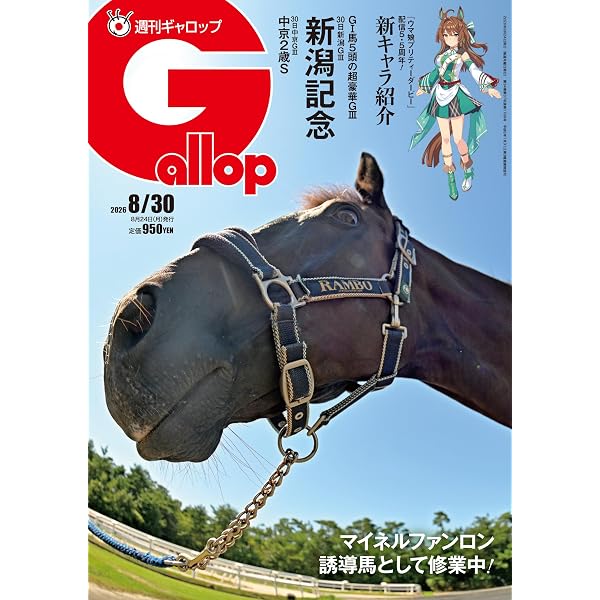 メイケイエール お歳暮 タオル ポストカード メイケイエール お歳暮 タオル ポストカード メイケイエール 母と子の