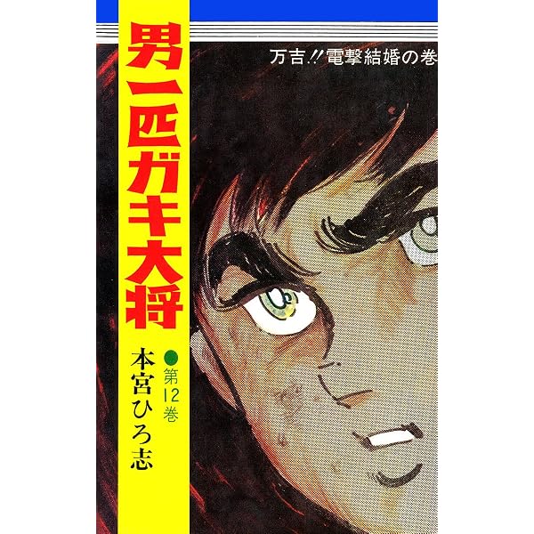 Amazon.co.jp: 男一匹ガキ大将 第16巻 eBook : 本宮ひろ志: Kindleストア