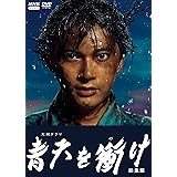 青天を衝け 総集編 [DVD]