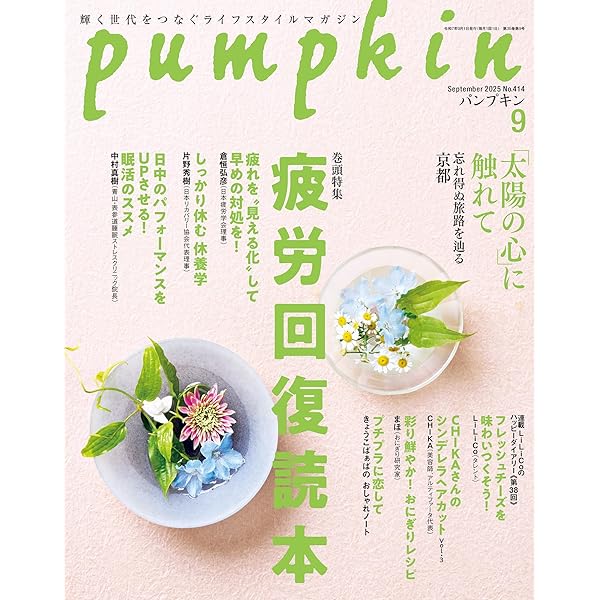 メンタルヘルス事典 心の健康大百科 メンタルヘルス事典 - 心の健康大百科(増補新訂版) | 上里 一郎