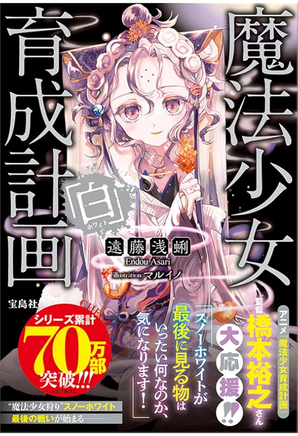 Amazon.co.jp: 魔法少女育成計画 (このライトノベルがすごい! 文庫