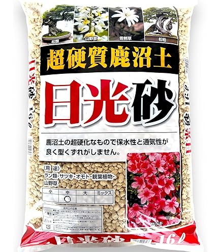 土日セール⭐︎【状態良好◎】やなせたかし大全 カードショップ