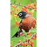 鳥 iPhone8,7,6 Plus 壁紙(1242×2208) Birds in our Garden 2023: Kalender 鳥 iPhone8,7,6 Plus 壁紙(1242×2208) Birds in our Garden 2023: Kalender