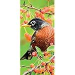 鳥 iPhone 15,14,13,12,11,X 壁紙(1125x2436) Birds in our Garden 2023: Kalender 鳥 iPhone 15,14,13,12,11,X 壁紙(1125x2436) Birds in our Garden 2023: Kalender