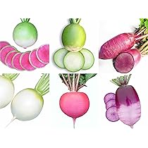 Amazon.co.jp: ウクレレ園芸SHOP ☆彩丸大根Mix☆ 種子2.5㎖(約