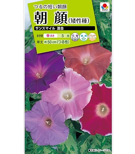 Amazon.co.jp: 【有機種子】 朝顔（ミックスカラー） グリーン