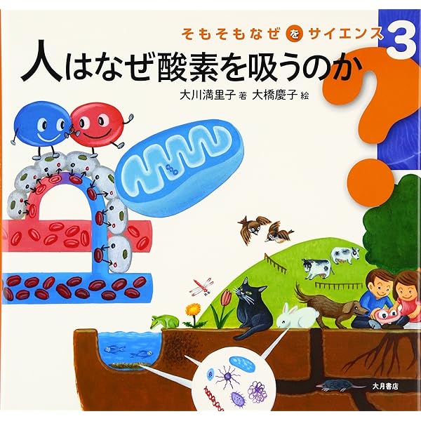 そもそもなぜをサイエンス 6巻セット Amazon.co.jp: そもそもなぜをサイエンス(全6巻) : 村松 しづ子, 鈴木