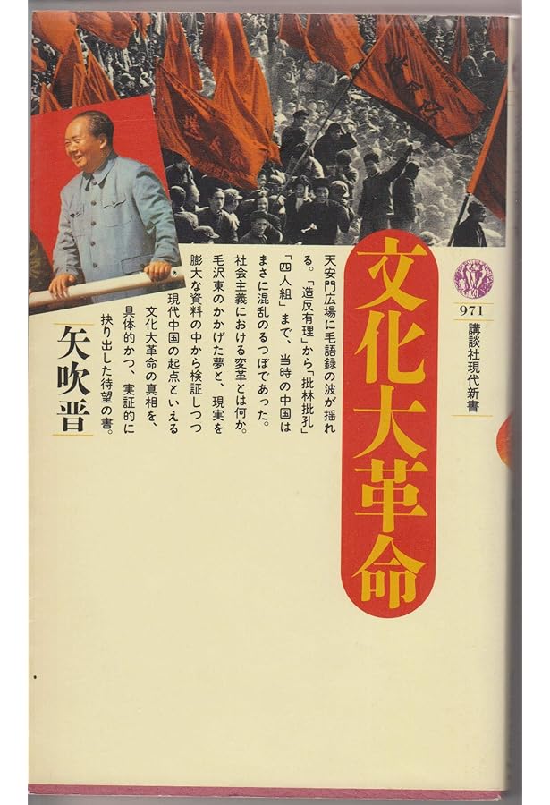 Amazon.co.jp: 世界史のなかの文化大革命 (891) (平凡社新書 891
