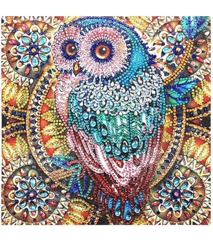Amazon.co.jp: KAKISO 30x30 cm カラフルなフクロウカラフルな鳥 DIY