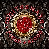 フレッシュ・アンド・ブラッド【初回限定盤CD+DVD(日本盤限定ボーナストラック収録/日本語解説書封入/日本語字幕付/歌詞対訳付)】