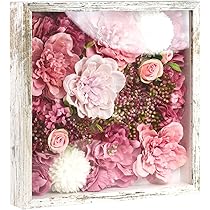 81IcwD2XCqL._AC_UL210_SR210,