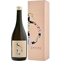 梅樹 日本美術 鐔・刀装具・甲冑武具 | 梅樹透鐔 無銘：赤坂四代忠時