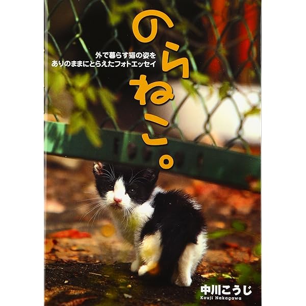 のらねこ Amazon.co.jp: さいこうののらねこ シルバー : ケイト・クライス