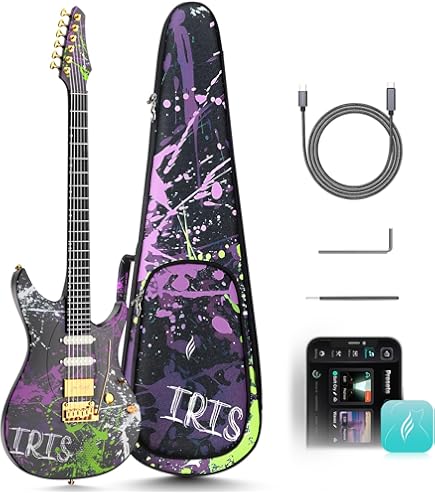 Amazon | EDWARDS ヤソウ BLK セミアコギター 有村竜太朗モデル 夜想