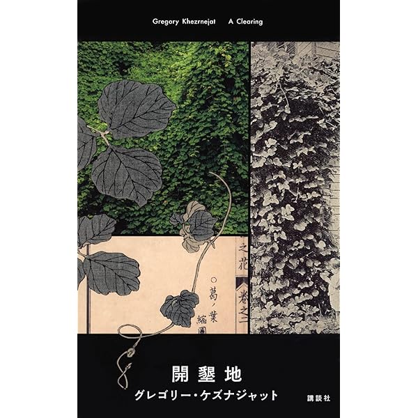 親指一本の旅 ㊙ルートでアテネをめざせ！好奇心　冒険心　放浪旅に出よう！和知　香 91gVnv0DFDL.jpg