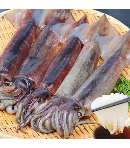Amazon.co.jp: 産直丸魚 北三陸産 釣り物 スルメイカ 生食用 30尾入 真 Amazon.co.jp: 産直丸魚 北三陸産 釣り物 スルメイカ 生食用 30尾入 真