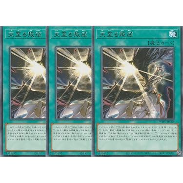 Amazon.co.jp 最新リリース: シングルノンスポーツコレクションカード