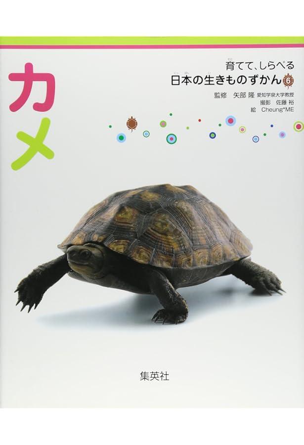 カメの家庭医学百科: 販売 飼育の基礎と病気 ヨドバシ.com - カメの