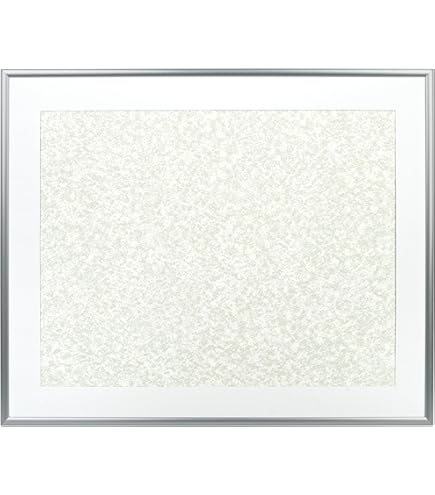 Amazon.co.jp: FUJICOLOR 額縁 A10N 全紙 アルミ シルバー 17614