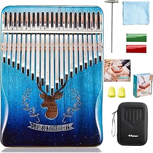 Hostaro カリンバ 親指ピアノ ピアノ21キー 人気 高級保護ケース付き 清掃クロス付き アフリカ楽器 初心者向…
