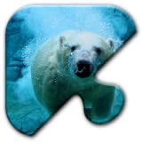 Jigsaw Puzzles Free Game - Chapter 14