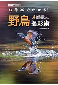 BIRDER 2024年 10 月号 [雑誌] |本 | 通販 | Amazon