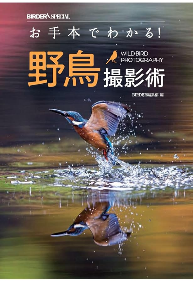 BIRDER（バーダー）2024年7月号 鳥見力アップの良書たち 人生を変える