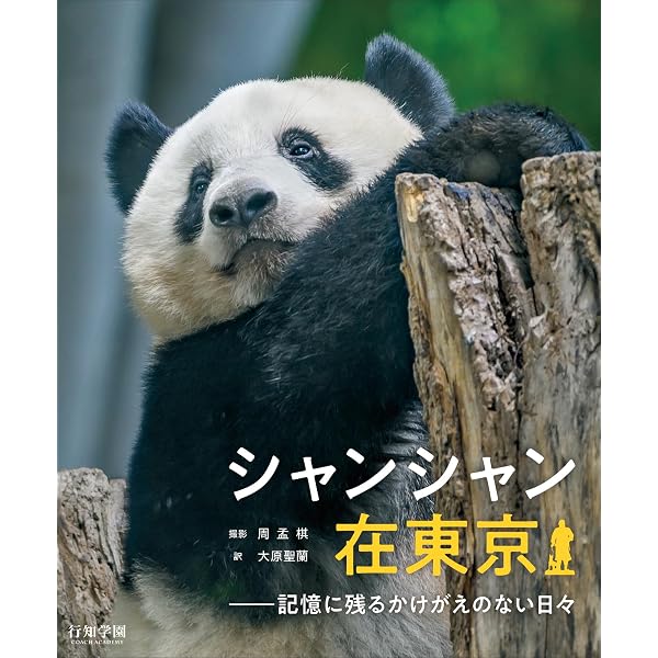Amazon.co.jp: 【Amazon.co.jp限定】ごろごろパンダ日記 通常版 DVD