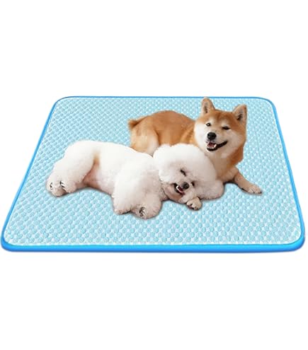 Amazon | わんわんスベラン すべり止めWAX 200ml(約14平米) | わんわん