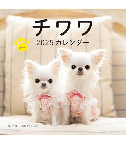 Amazon | THE DOG カレンダー 2025 壁掛け 大判サイズ [ チワワ ] 犬