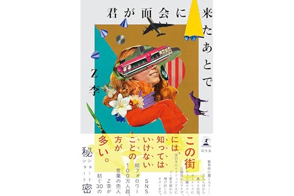 君が面会に来たあとで (幻冬舎単行本)