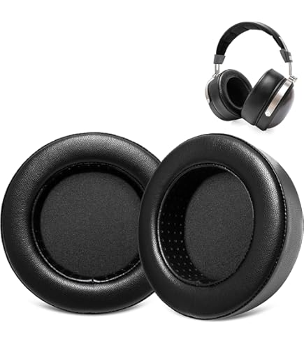 Amazon | Voarmaks 交換用イヤーパッド Fiio FT1 FT1 Pro JT7
