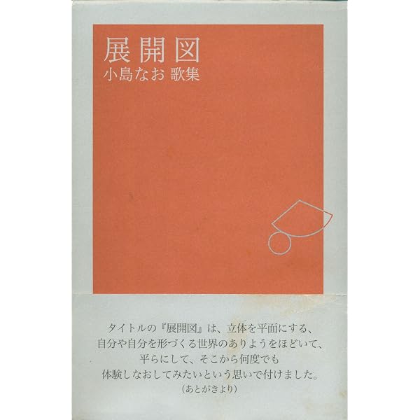 Amazon.co.jp: 展開図: 歌集 (コスモス叢書) : 小島なお: Japanese Books