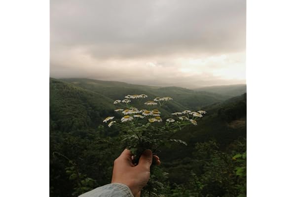 Fire Bloomed Where Our Shadows Kissed